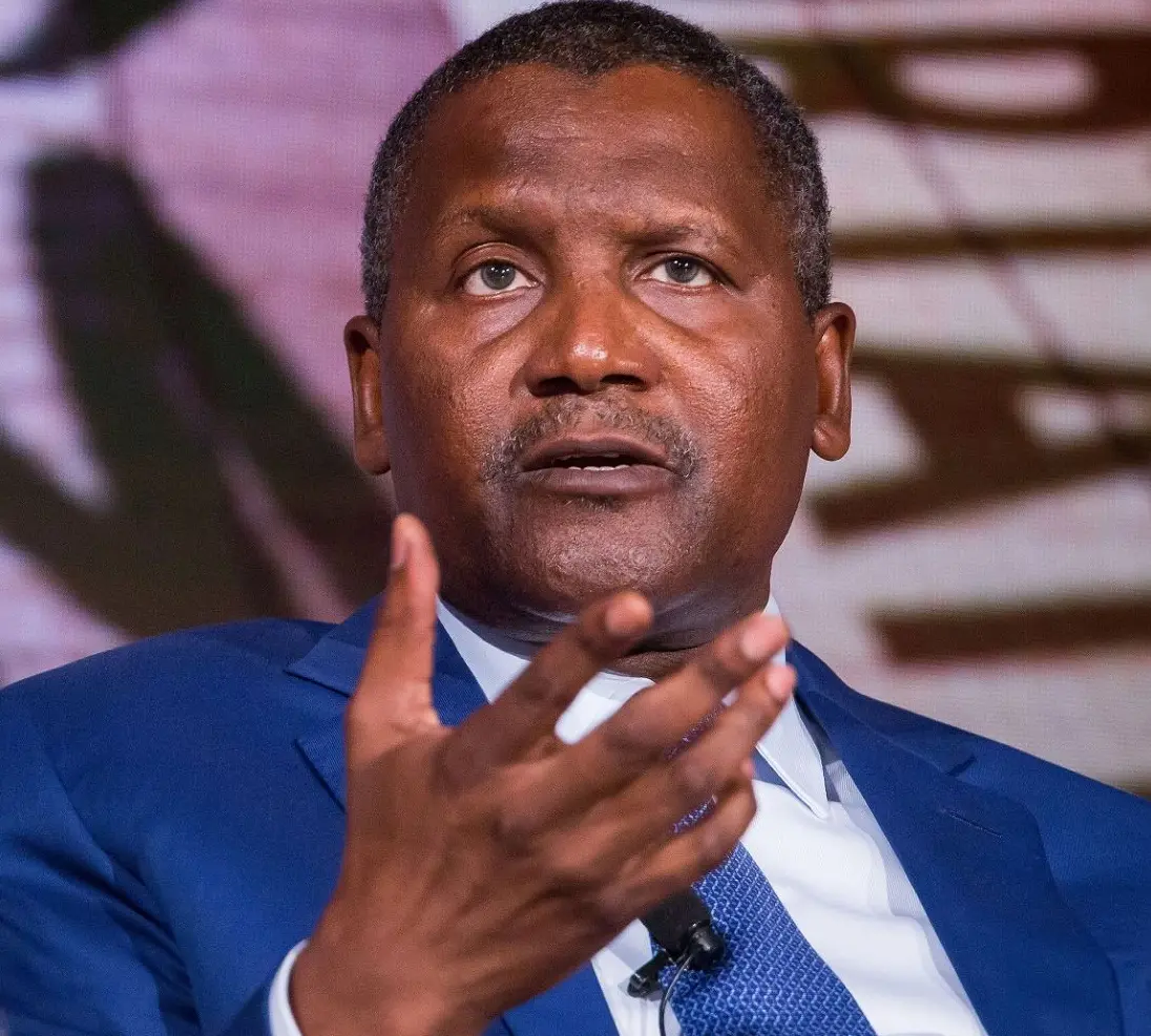 Dangote mulls diversification into steel manufacturing