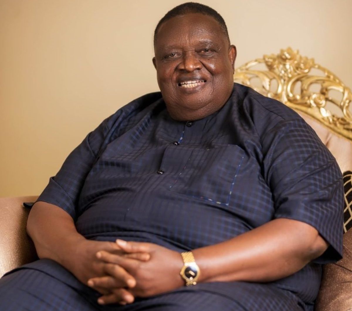 Iwuanyanwu was visionary – Ohanaeze confirms death of President-General