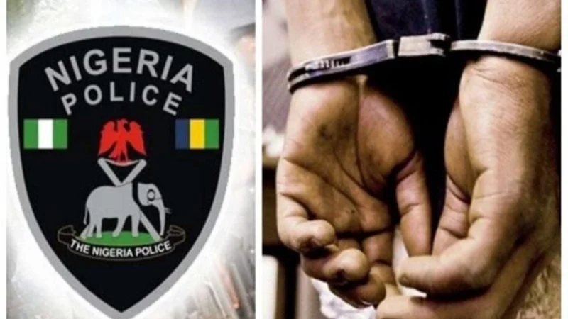 Suspected kidnapper nabbed after collecting ransom in Yobe