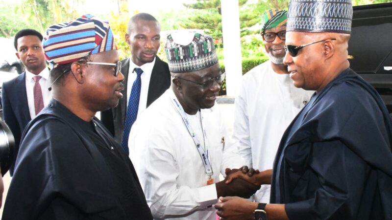 New Mining Licenses Must Have Local Value To Position Nigeria As Metals Leader – Tinubu