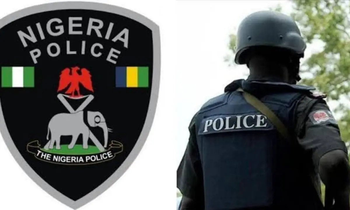 Alleged organ harvesting: Police caution ladies against friendship with unknown male partners
