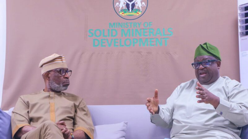Forensic audit of mining sector underway – Alake