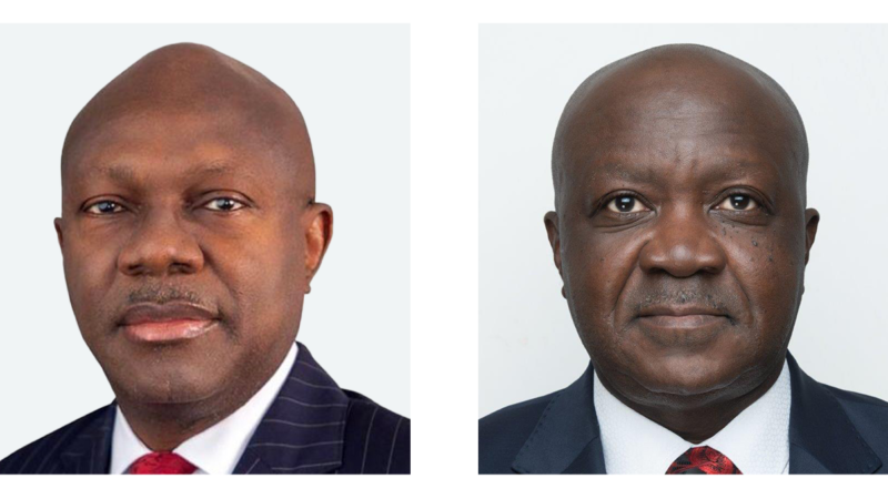 Heirs Insurance Group Appoints Ibrahim Puri And Sonny Iroche As Independent Non-Executive Directors