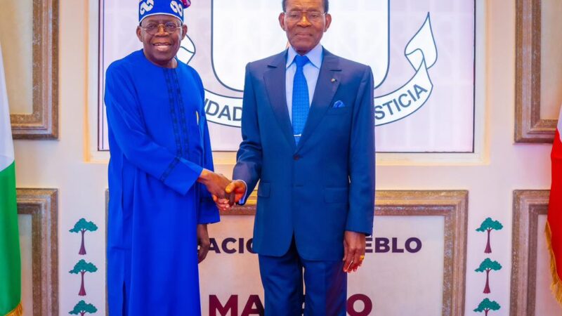 Tinubu: Africa can stop skill exodus by enhancing performance incentivisation