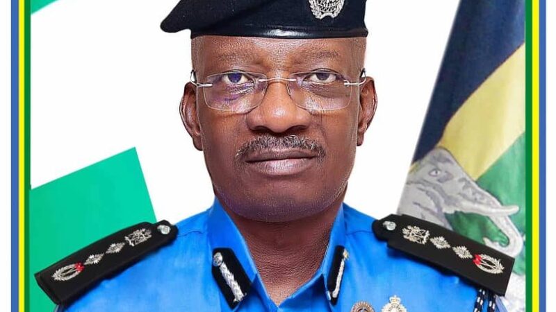 Lawyer sues FG over IG’s tenure elongation