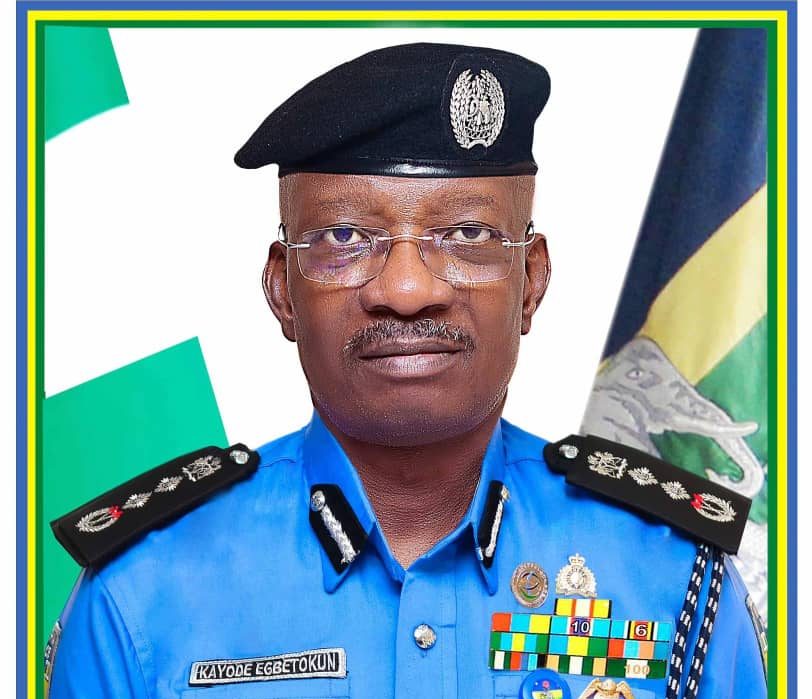 Lawyer sues FG over IG’s tenure elongation