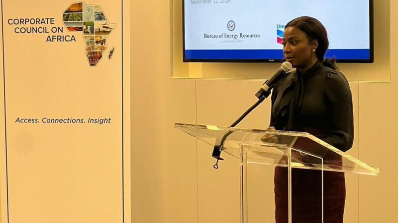 At inaugural US-Nigeria energy dialogue, FG unveils new reforms, $550m gas project take-off