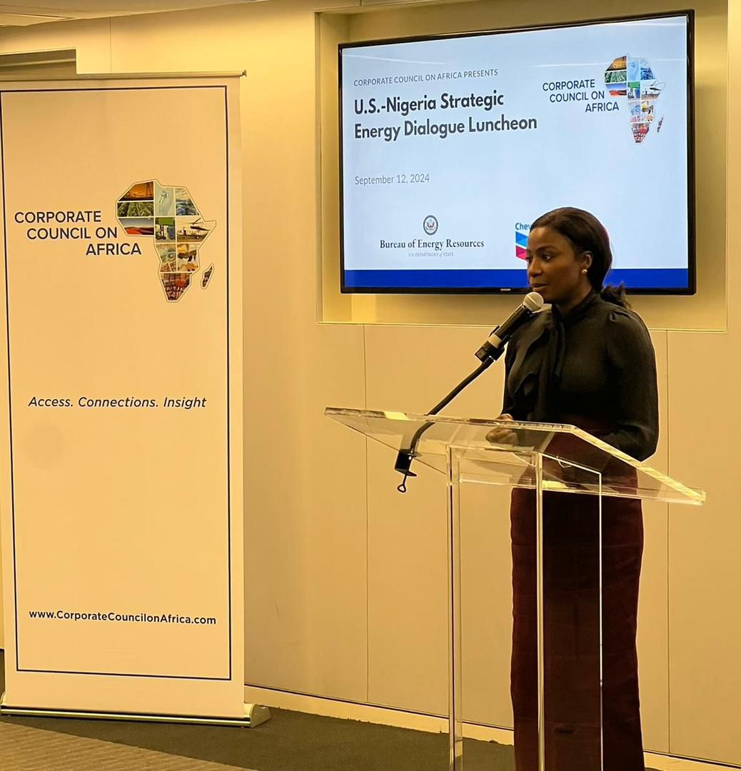 At inaugural US-Nigeria energy dialogue, FG unveils new reforms, $550m gas project take-off