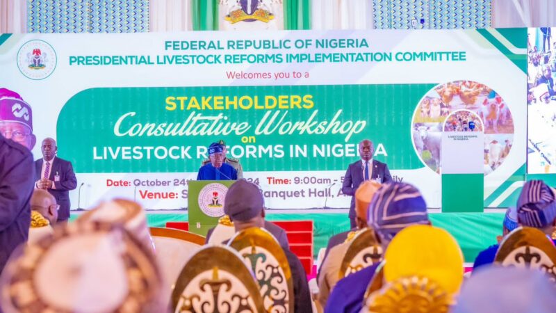 NEGLECTING LIVESTOCK FARMING IN THE PAST WAS A MISTAKE THAT SHOULD NOT BE REPEATED, SAYS PRESIDENT TINUBU