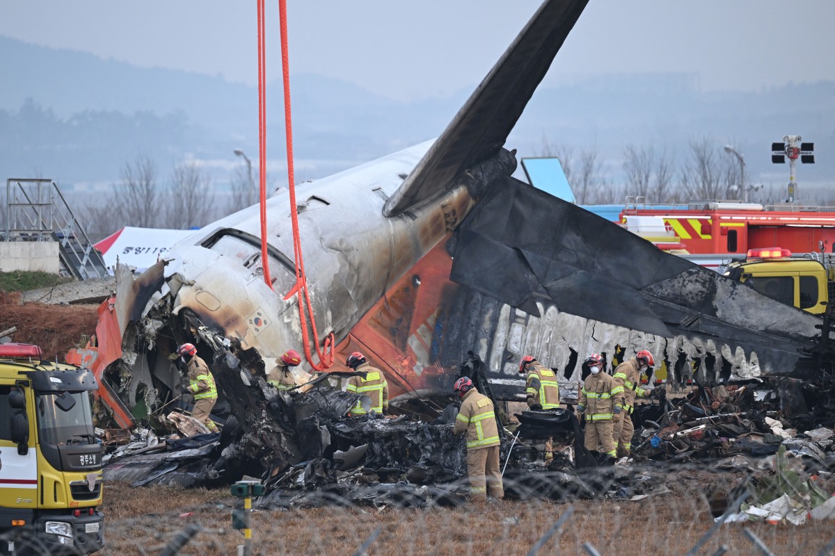 FG sympathises with S’Korea as 179 die in plane crash