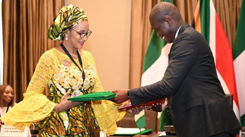 Nigeria, South Africa set deadline for signing MoU on key global issues