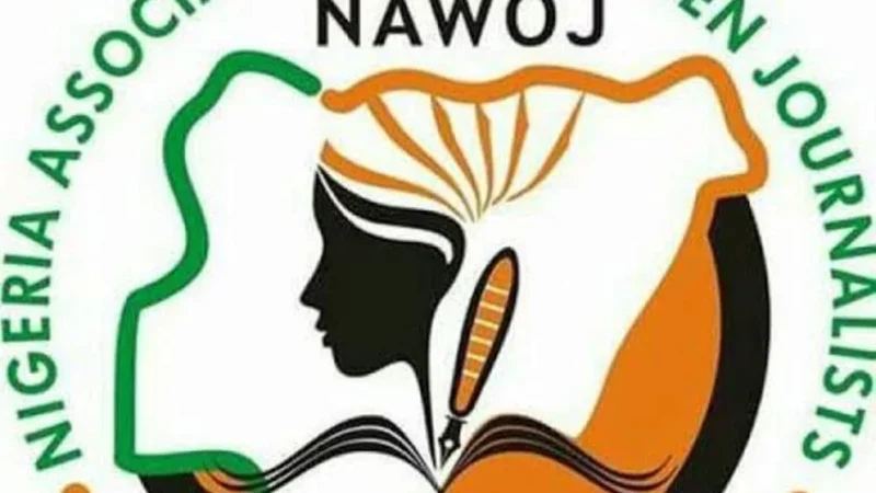 16 Days activism on GBV: Osun NAWOJ urges govt, stakeholders to unite, end impunity