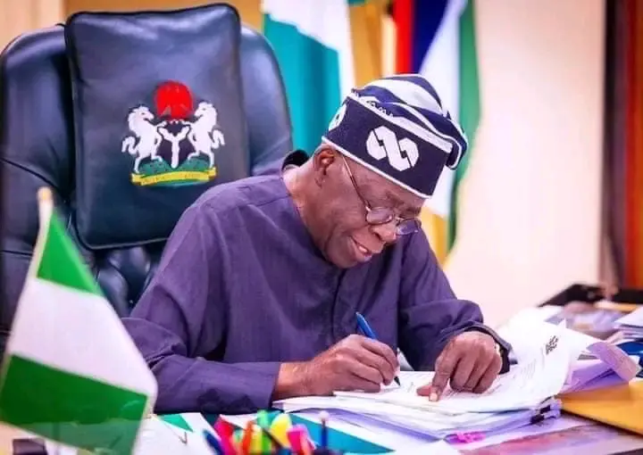 Tinubu appoints Nwakuche Ndidi acting Controller-General of prisons