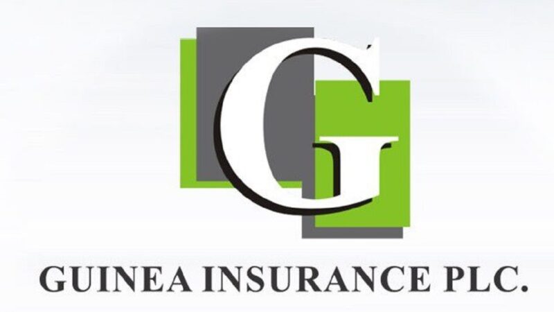 Guinea Insurance’s profit drops 69%