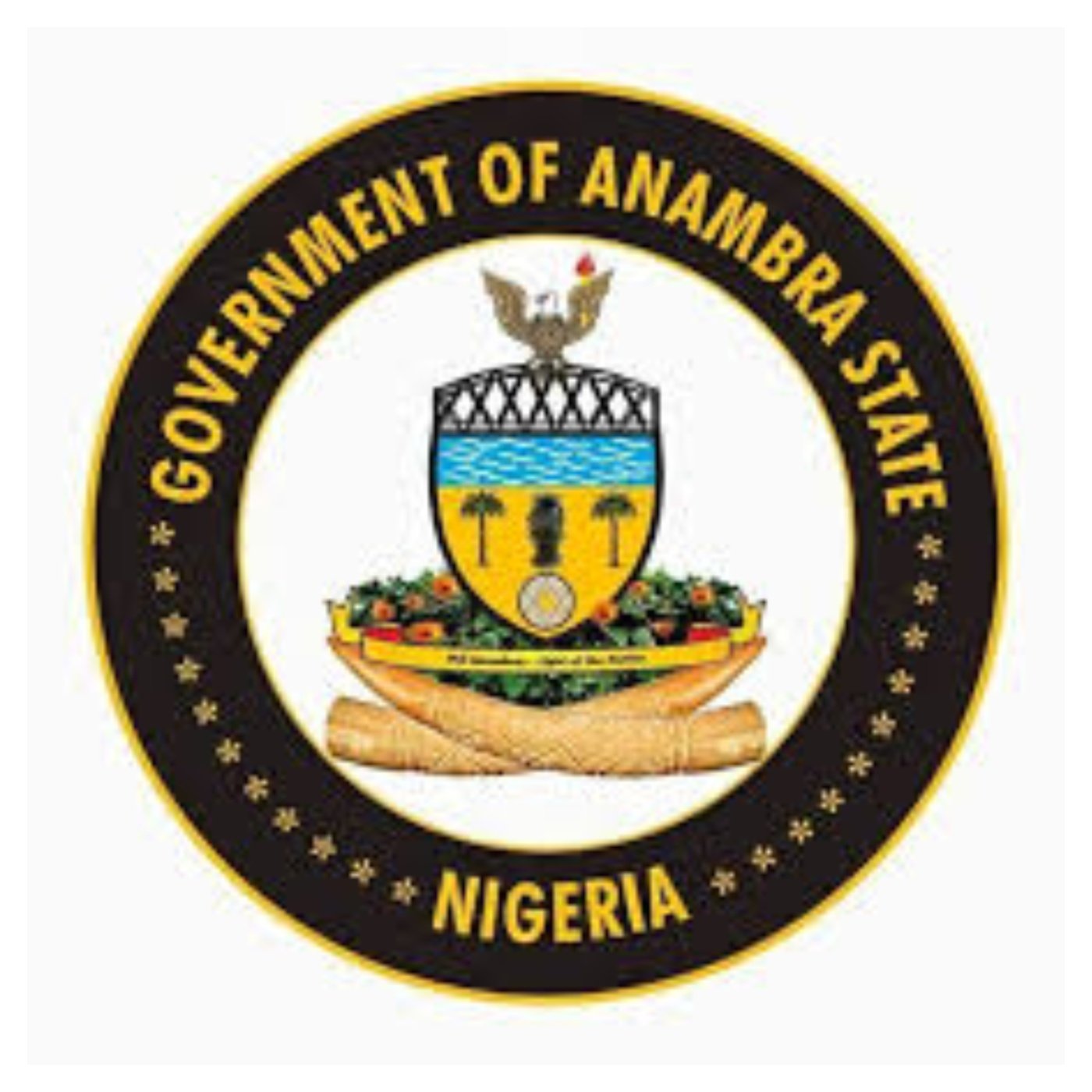 Anambra govt confirms detention of three native doctors, seal off fake church