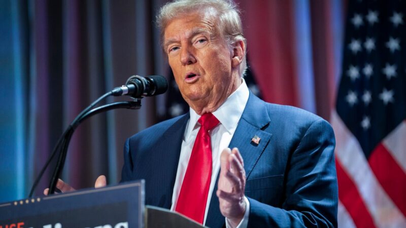 Trump mulls returning 20% of DOGE savings to Americans