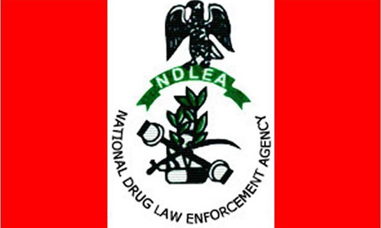 Nigerian drug kingpin arrested for smuggling in Korea