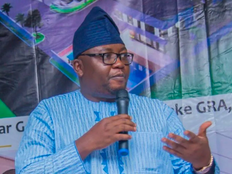 Nigeria to learn power generation from Egypt – Minister