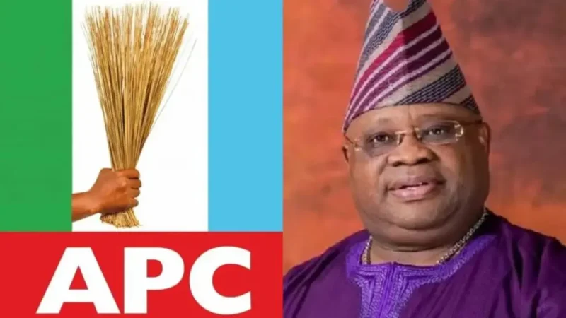 LG controversy: Gov Adeleke abusing court processes — Osun APC