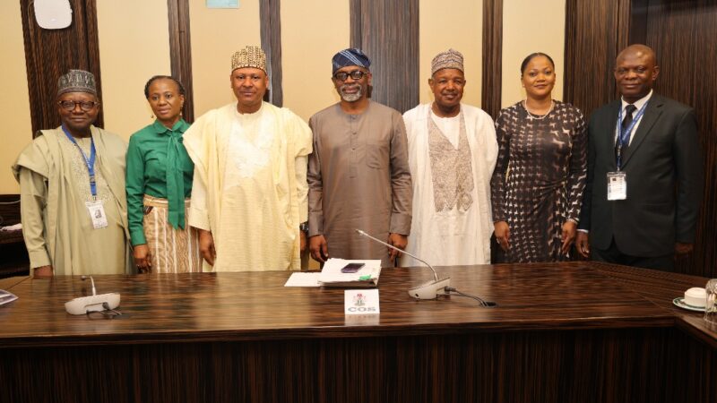 Tinubu inaugurates Census Committee, gives three-week deadline for report