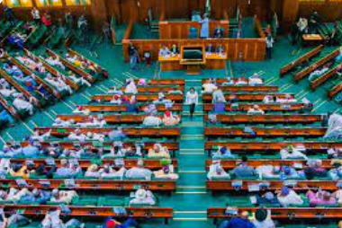 Uromi killings: Reps decry jungle justice, urge vigilantes training