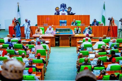 Bill seeking to peg age limit for President, Gov undemocratic, says group