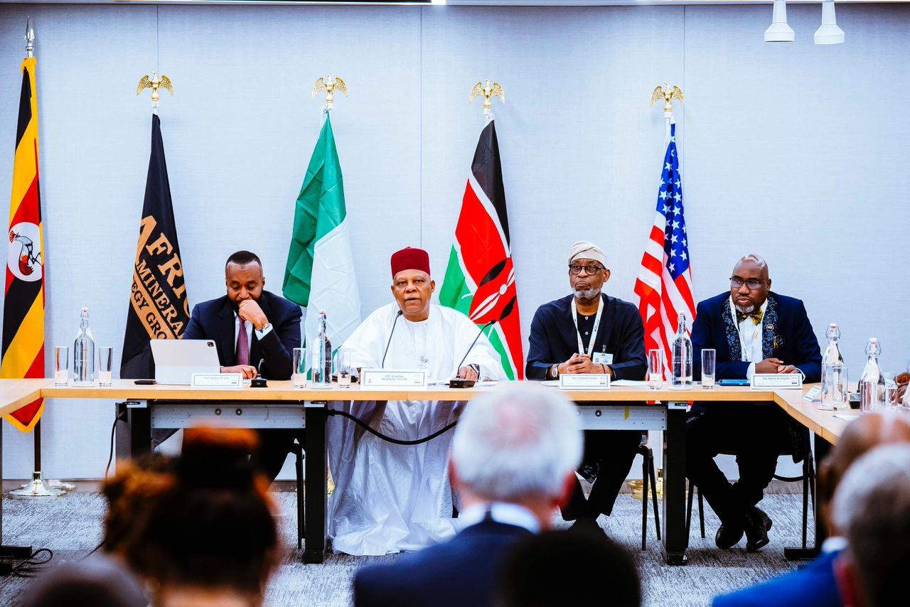 At UNGA, Tinubu tasks Africa to finance mineral assets, wield power in global supply